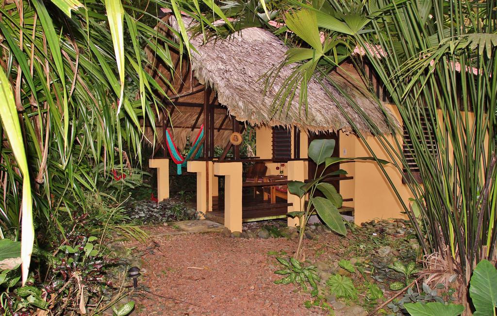 Caribe Town Bungalows Puerto Viejo de Talamanca Стая снимка